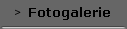 Fotogalerie
