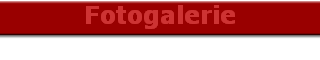 Fotogalerie