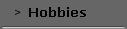 Hobbies